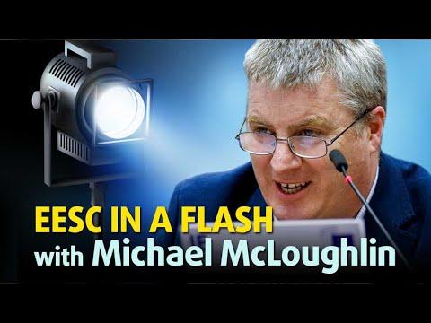 Embedded thumbnail for EESC IN A FLASH with Michael McLoughlin - EESC and the Youth Action Plan in EU external action