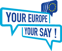 your Europe your Say