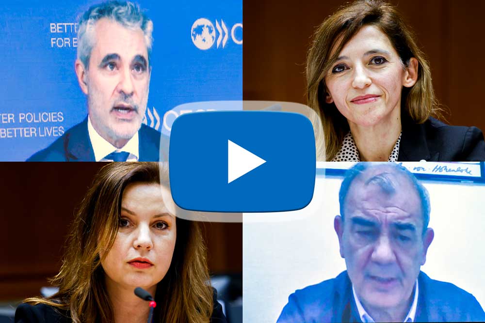 Presentation and debates on the own-initiative opinion: “Supporting ...