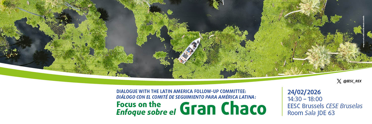 Banner image - Dialogue with the Latin America Follow-up Committee: Focus on The Gran Chaco