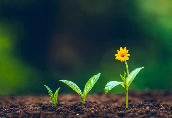 Sustainable investment