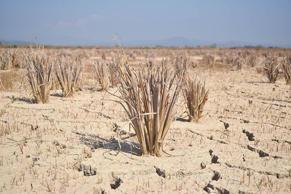 Supporting vulnerable groups