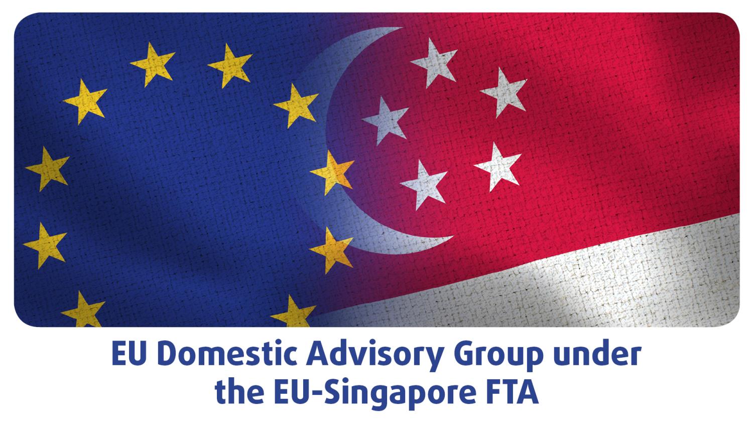 9th Meeting of the EU Domestic Advisory Group under the EU-Singapore Free  Trade Agreement | EESC