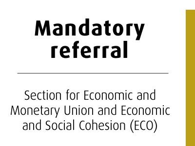 Revision of the tobacco taxation Directive