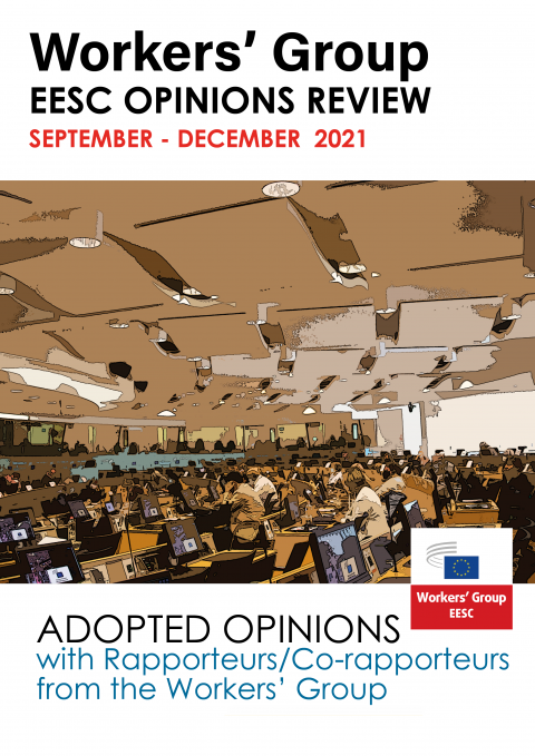 Summary of Adopted Opinions newsletter cover
