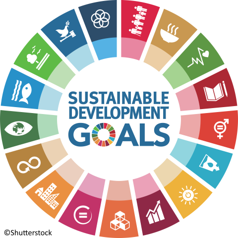 SDG circle
