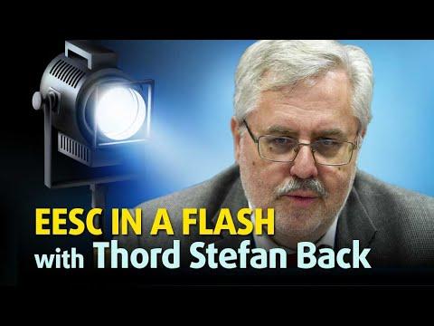 Embedded thumbnail for EESC IN A FLASH with Thord Stefan Back: EESC and the transition to a long-term sustainable transport system