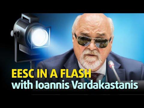 Embedded thumbnail for EESC IN A FLASH with Ioannis Vardakastanis - EESC and the European Disability Card