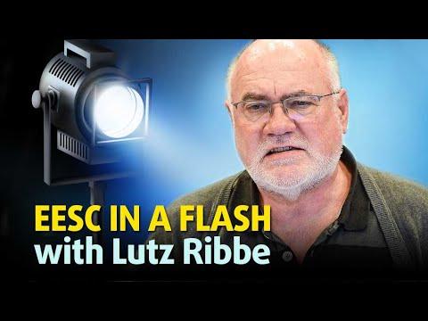 Embedded thumbnail for EESC in a flash with Lutz Ribbe -  - EESC and the COP 27 on climate change