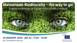 Mainstream Biodiversity – the way to go!