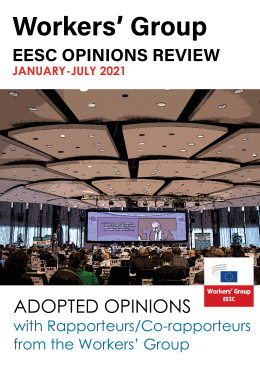 January to June 2021: Summary of Adopted Opinions
