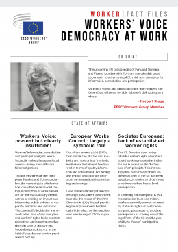 Democracy at work - factfile
