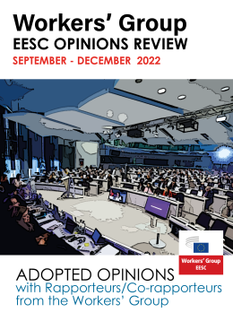 cover of the summary